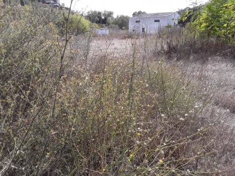 20191012_152446_001